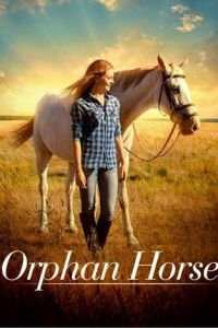 Orphan Horse