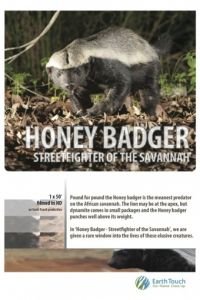 Ultimate Honey Badger